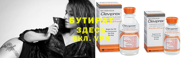 индика Сатка