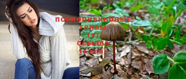 винт Белокуриха