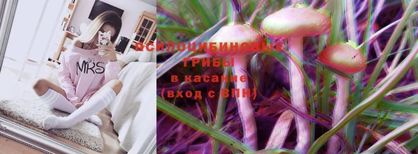 винт Белокуриха