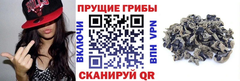 Галлюциногенные грибы GOLDEN TEACHER  как найти закладки  Ростов-на-Дону 